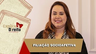 Explica Direito Filiação Socioafetiva  2019 [upl. by Enos377]